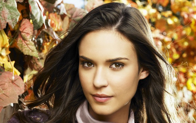 Odette Annable Fotoğrafları 110