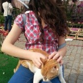 elifdgtkn