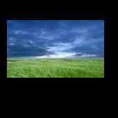 freshwind