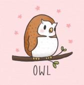 Night Owl