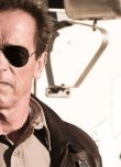 Arnold Schwarzenegger Zombi Filminde
