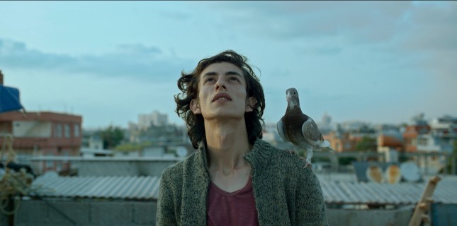 Engelsiz Filmler Festivali 7. Kez Sinemaseverlerle Buluşuyor! Engelsiz Filmler Festivali 7. Kez Sinemaseverlerle Buluşuyor!