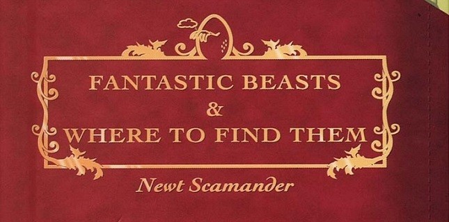 Harry Potter'dan Bir Film Daha