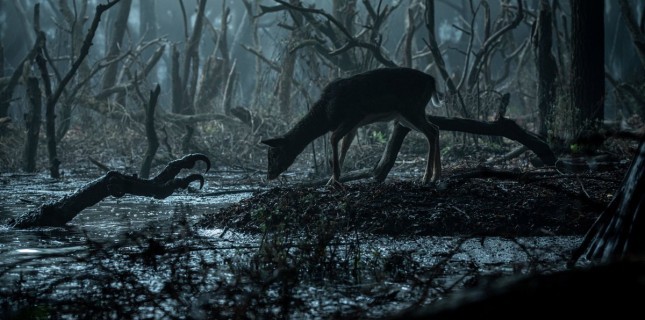 Netflix Dizisi The Witcher’dan Yeni Görseller