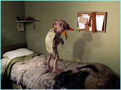 Dobby Fotoğrafları 2