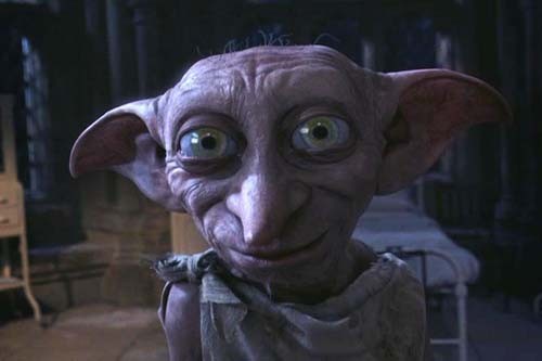 Dobby Fotoğrafları 12