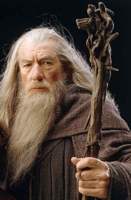 Gandalf The Grey Fotoğrafları 20