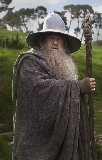 Gandalf The Grey Fotoğrafları 35