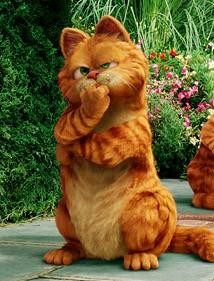 Garfield fotoğrafı