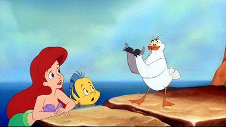 Scuttle Fotoğrafları 2