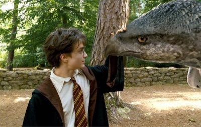 Harry Potter Fotoğrafları 42