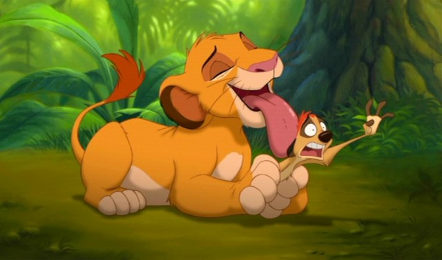 Young Simba Fotoğrafları 11