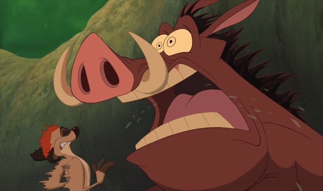 Pumbaa Fotoğrafları 7