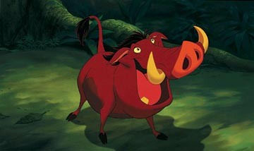 Pumbaa Fotoğrafları 9