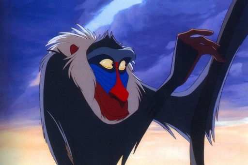 Rafiki Fotoğrafları 7