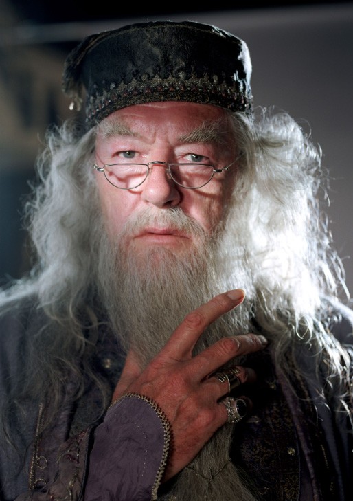 Albus Dumbledore Fotoğrafları 4