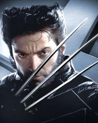 Wolverine Fotoğrafları 6