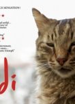 Dünya Kediler Günü'ne Özel Kedilerin Başrolde Olduğu En İyi Filmler