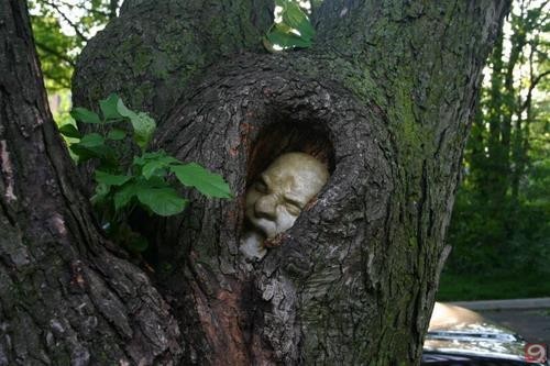 Kalplere Aç fotoğrafı