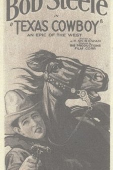 A Texas Cowboy (1929) afişi