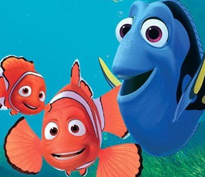 Kayıp Balık Nemo fotoğrafı