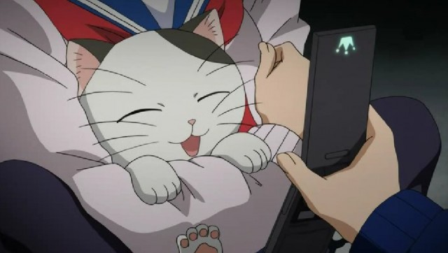 Kedi Sevgisi fotoğrafı