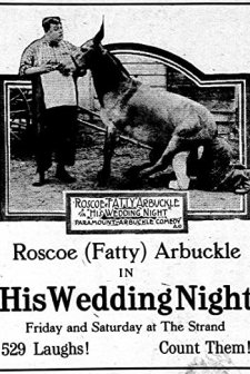 His Wedding Night (1917) afişi