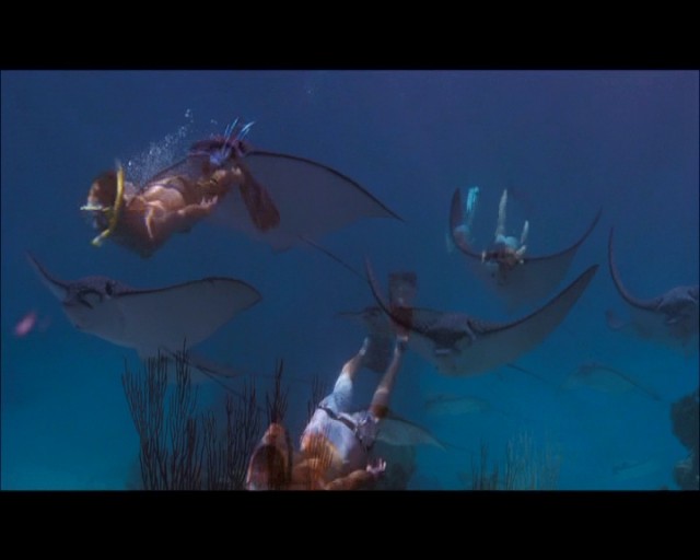 Maviliklere Doğru Fotoğrafı