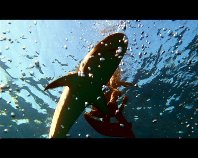 Maviliklere Doğru Fotoğrafı