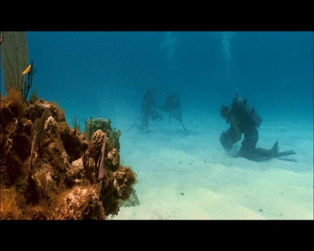 Maviliklere Doğru Fotoğrafı