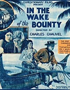 ın The Wake Of The Bounty (1933) afişi
