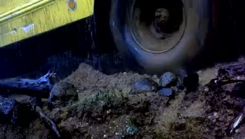 Sonsuz Aşk Fotoğrafı