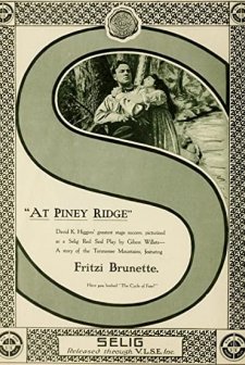 At Piney Ridge (1916) afişi