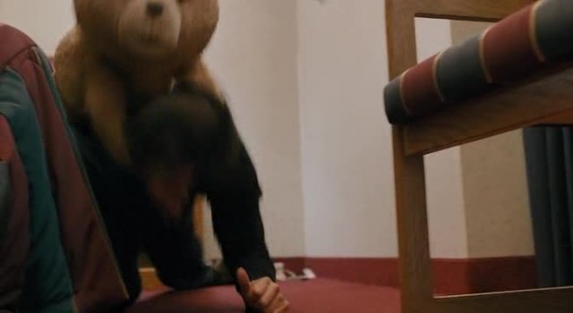 Ayı Teddy Fotoğrafı