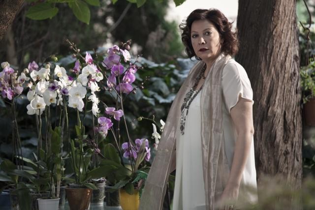 Bir Avuç Deniz Fotoğrafı