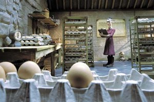 Tavuklar Firarda Fotoğrafı