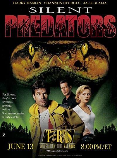 Sessiz Tehlike (1999) afişi