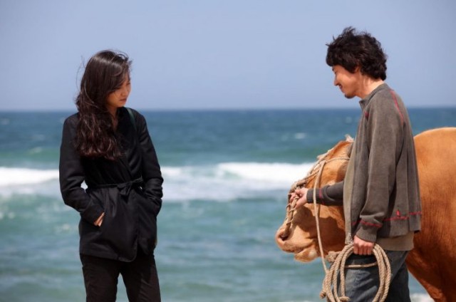 Rolling Home With A Bull Fotoğrafı