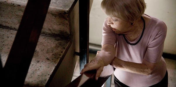 Old Cats Fotoğrafı