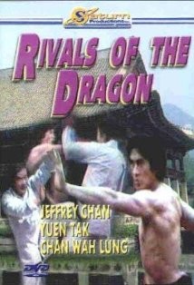 Rivals Of The Dragon (1980) afişi