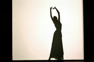 Flamenco fotoğrafı