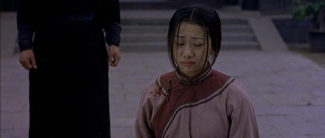 Kaplan ve Ejderha Fotoğrafı