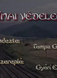 Kínai Védelem (1999) afişi