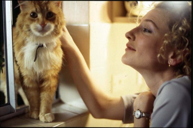 Stories Of Lost Souls fotoğrafı