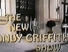 The New Andy Griffith Show (1971) afişi