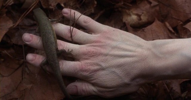 Harika Çocuk Fotoğrafı