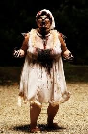 Köpek Evi Fotoğrafı