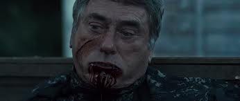 Köpek Evi Fotoğrafı