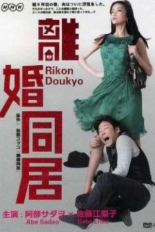 Living Together After Divorce (2010) afişi