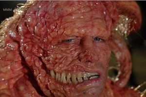 Yaratıklar Fotoğrafı